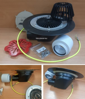 Фотография HL64.1
